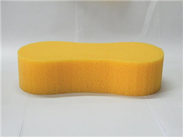 Sponge